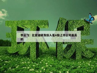 李云飞：比亚迪研发投入是A股上市公司最高的