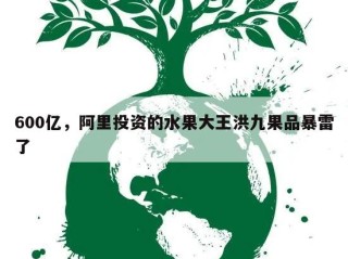 600亿，阿里投资的水果大王洪九果品暴雷了