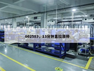 002583，13分钟直拉涨停